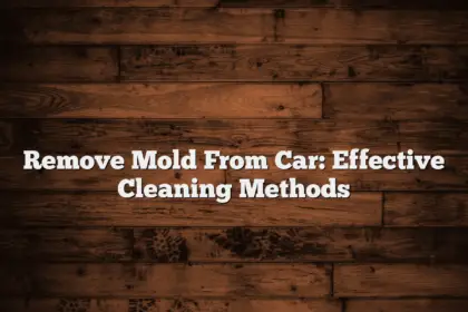 Remove Mold From Car: Effective Cleaning Methods