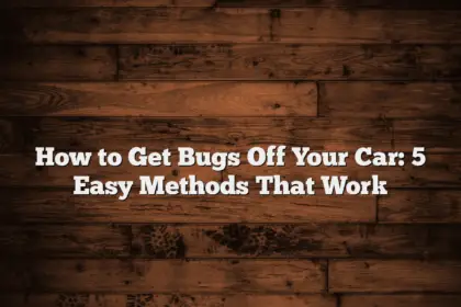 How to Get Bugs Off Your Car: 5 Easy Methods That Work