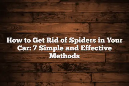 How to Get Rid of Spiders in Your Car: 7 Simple and Effective Methods