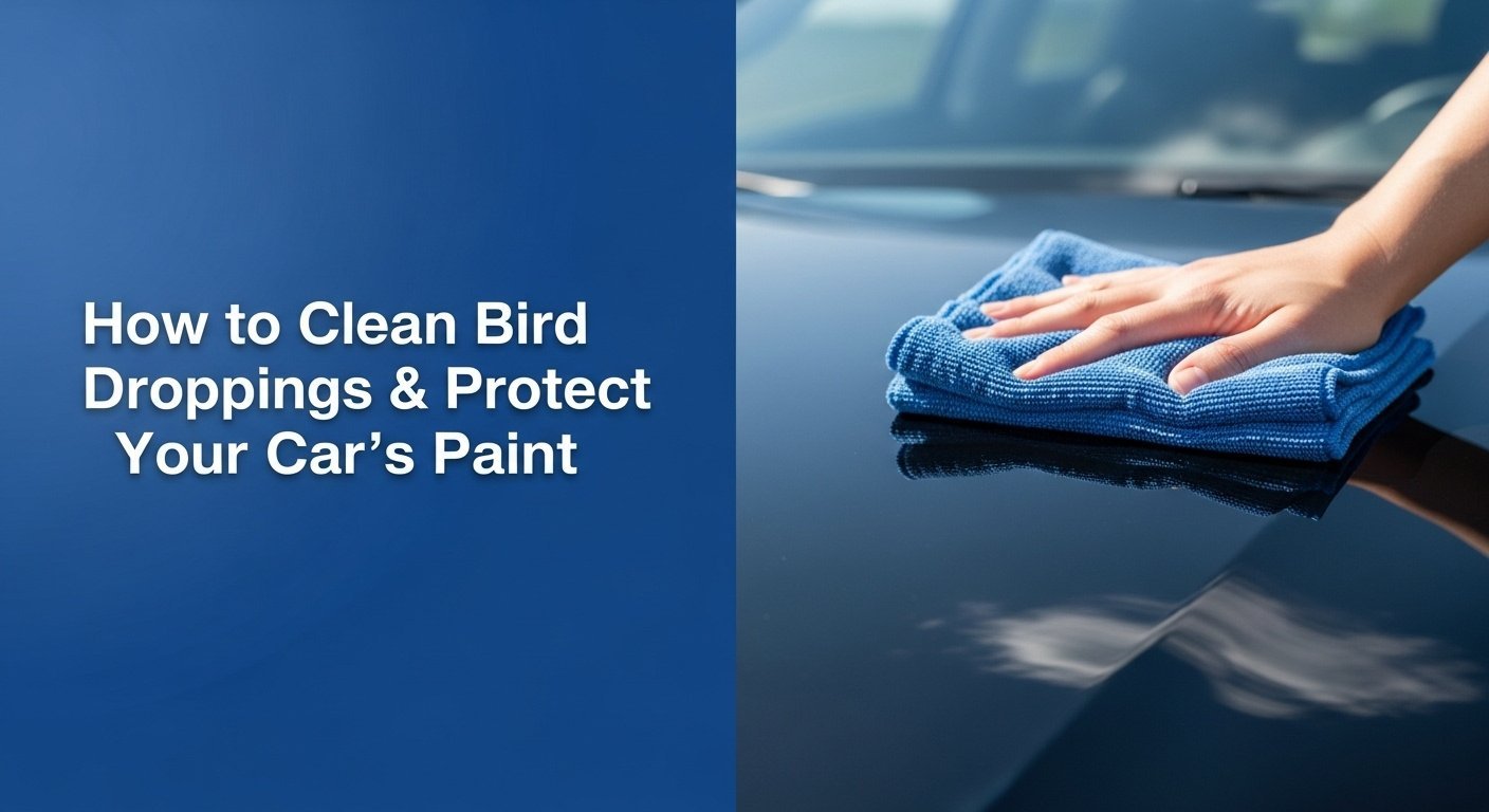 How to Clean Bird Droppings & Protect Your Car's Paint 4 How to Clean Bird Droppings & Protect Your Car's Paint