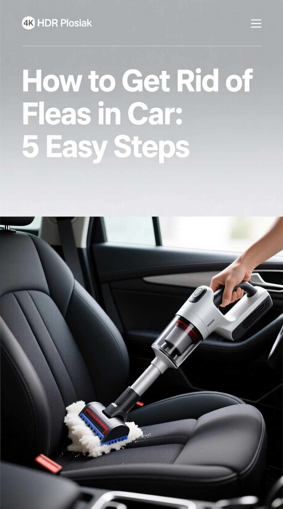 how to get rid of fleas in car