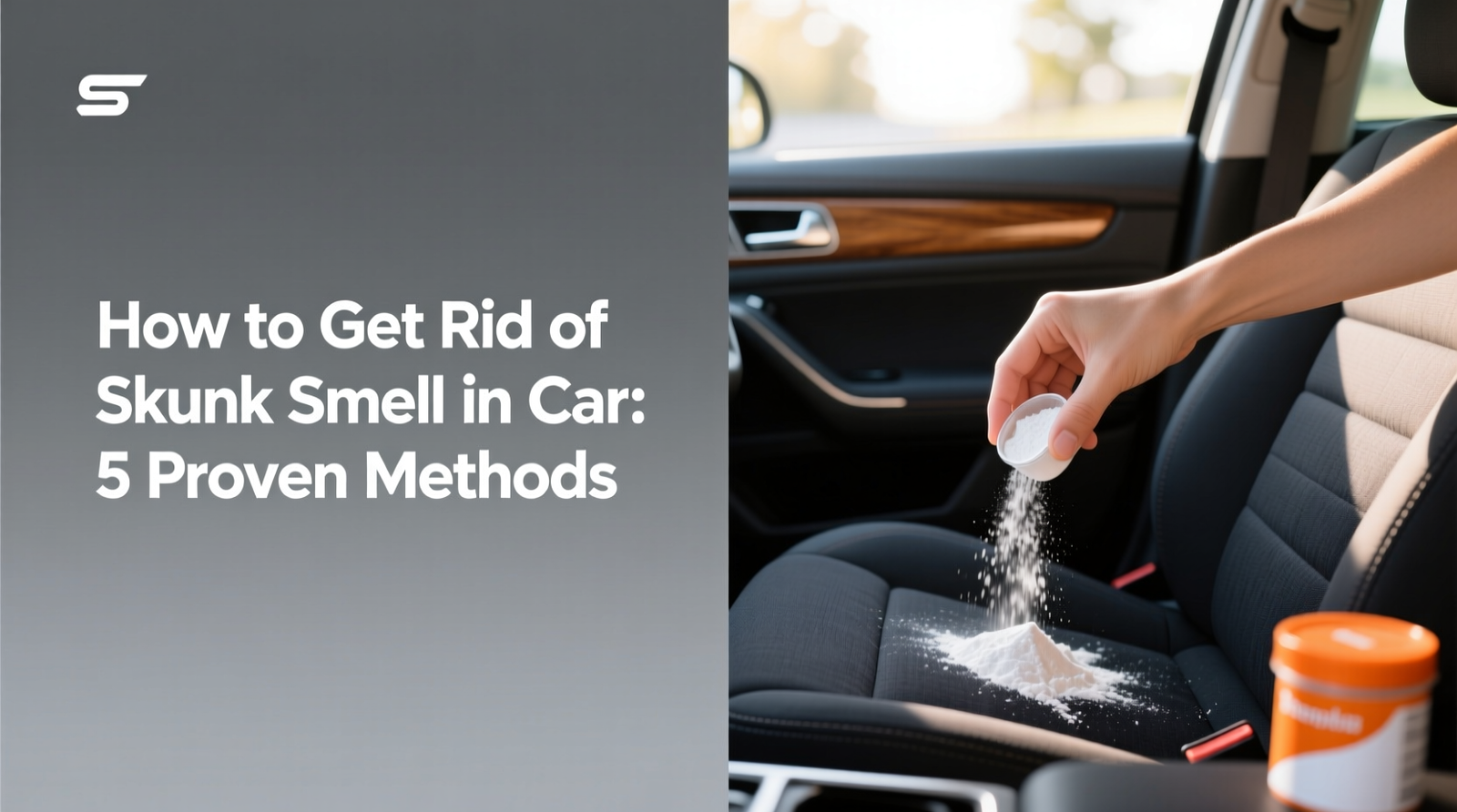 How to Get Rid of Skunk Smell in Car: 5 Proven Methods 10 How to Get Rid of Skunk Smell in Car: 5 Proven Methods