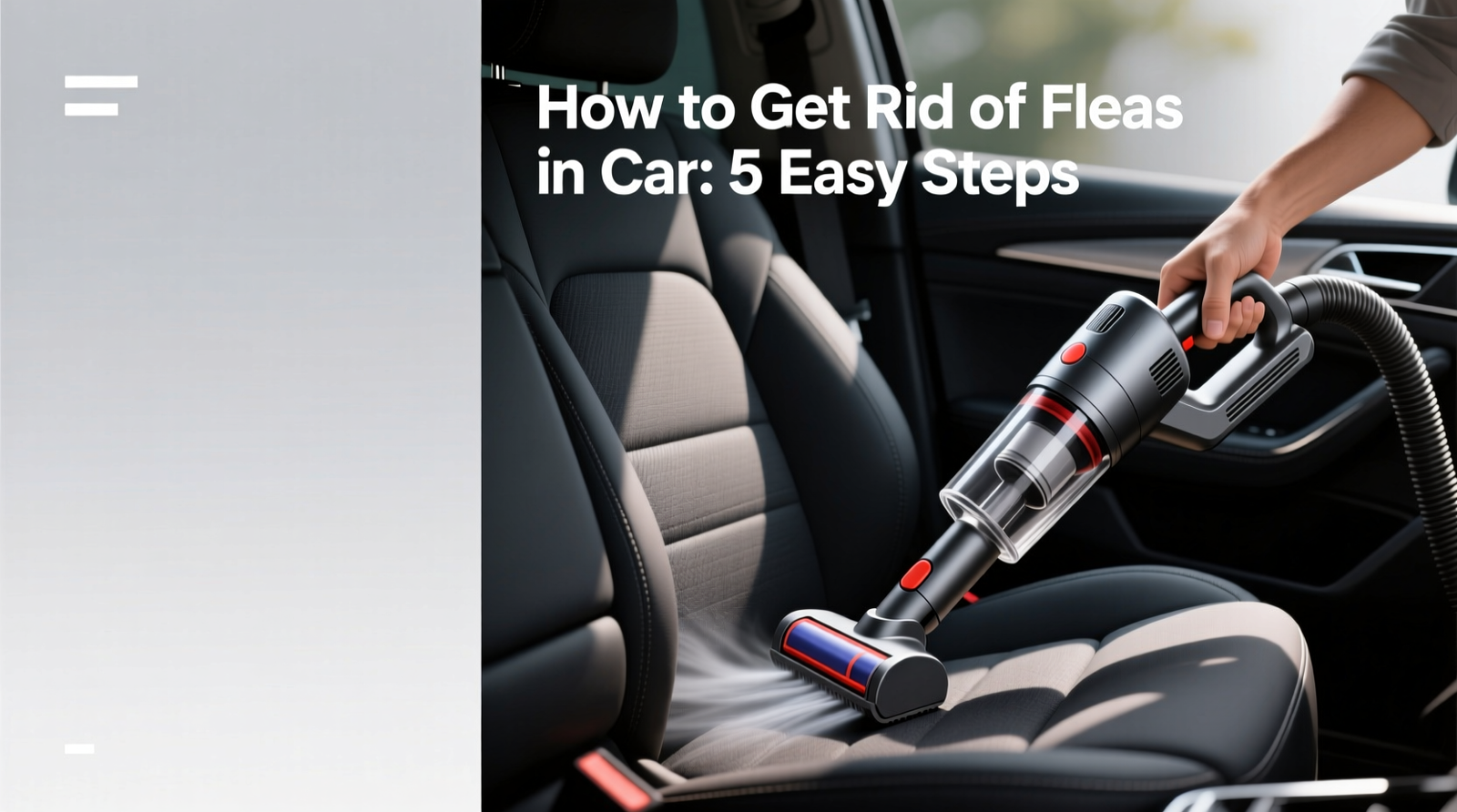 How to Get Rid of Fleas in Car: 5 Easy Steps 2 How to Get Rid of Fleas in Car: 5 Easy Steps