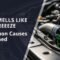 Car Smells Like Antifreeze 7 Common Causes Explained