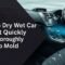 How to Dry Wet Car Carpet Quickly And Thoroughly To Stop Mold