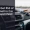 How to Get Rid of Mice Smell in Car Interior and HVAC