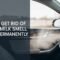 How to Get Rid of Rotten Milk Smell in Car Permanently