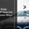 How to Keep Birds Off Your Car Easy Proven Ways