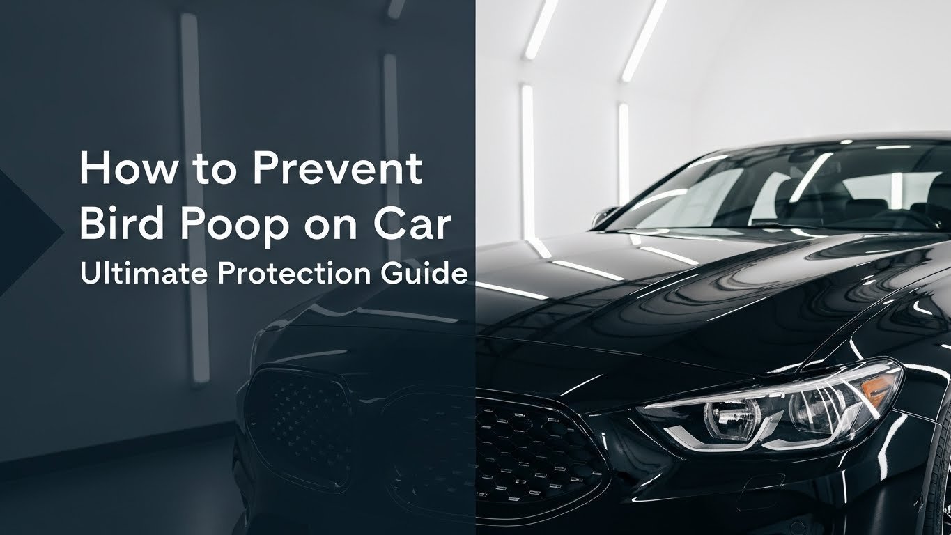 How to Prevent Bird Poop on Car Ultimate Protection Guide